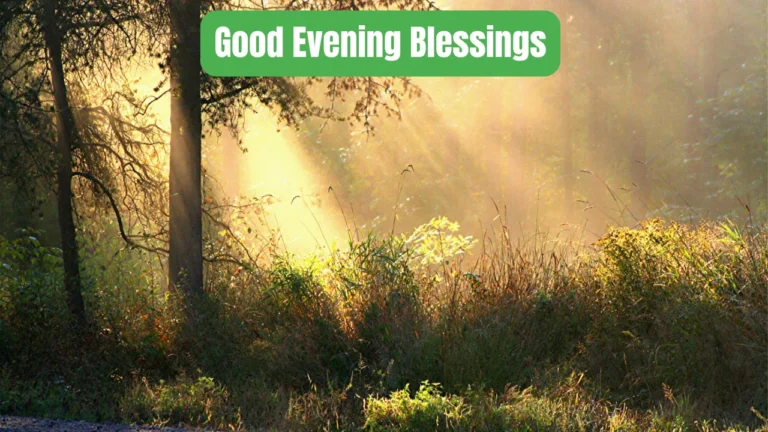 Good Evening Blessings