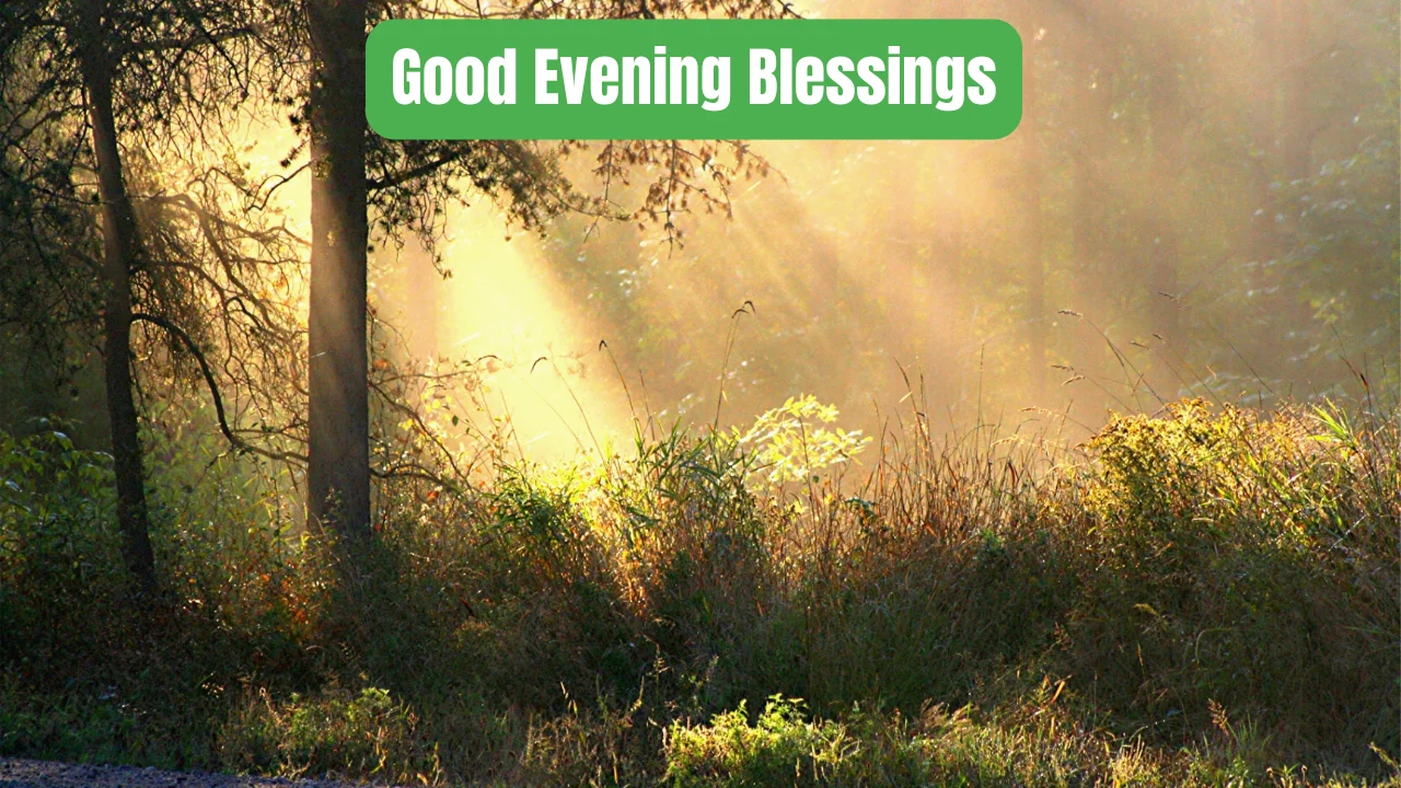 Good Evening Blessings