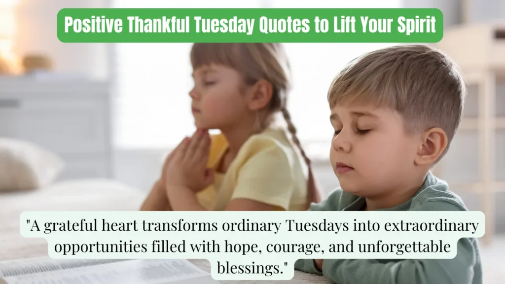 Positive Thankful Tuesday Quotes to Lift Your Spirit