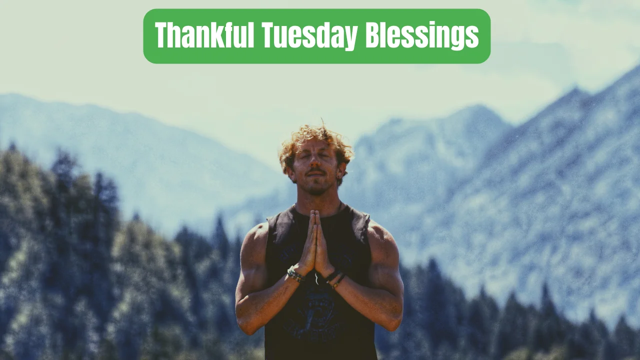 Thankful Tuesday Blessings