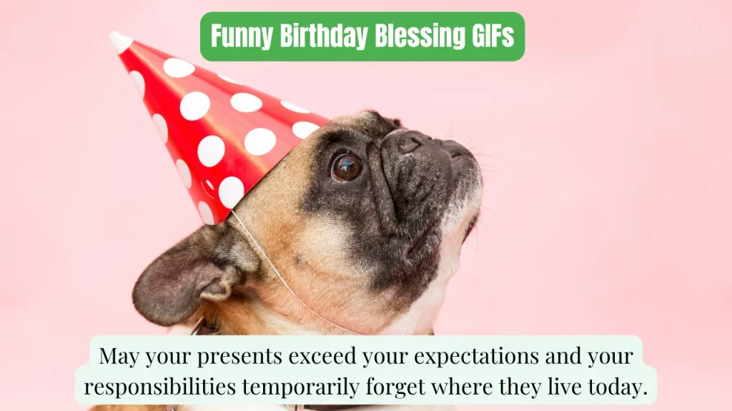 Funny Birthday Blessing GIFs