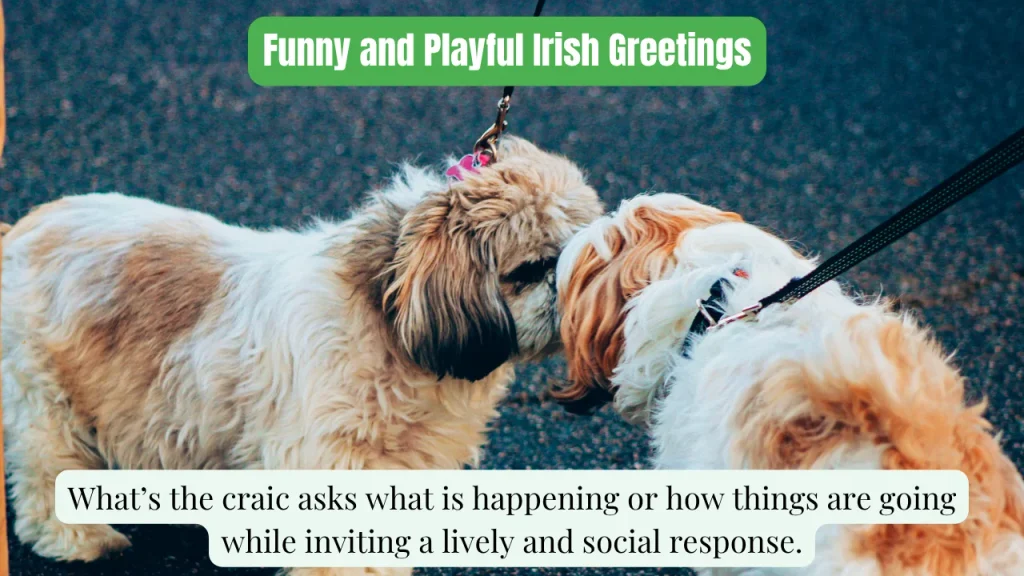 Funny and Playful Irish Greetings
