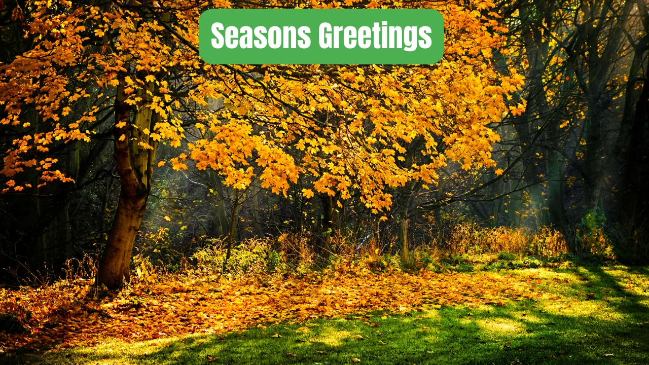 Seasons Greetings