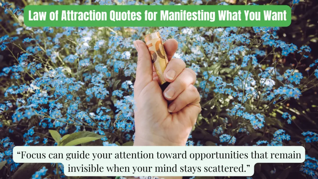 Law of Attraction Quotes for Manifesting What You Want