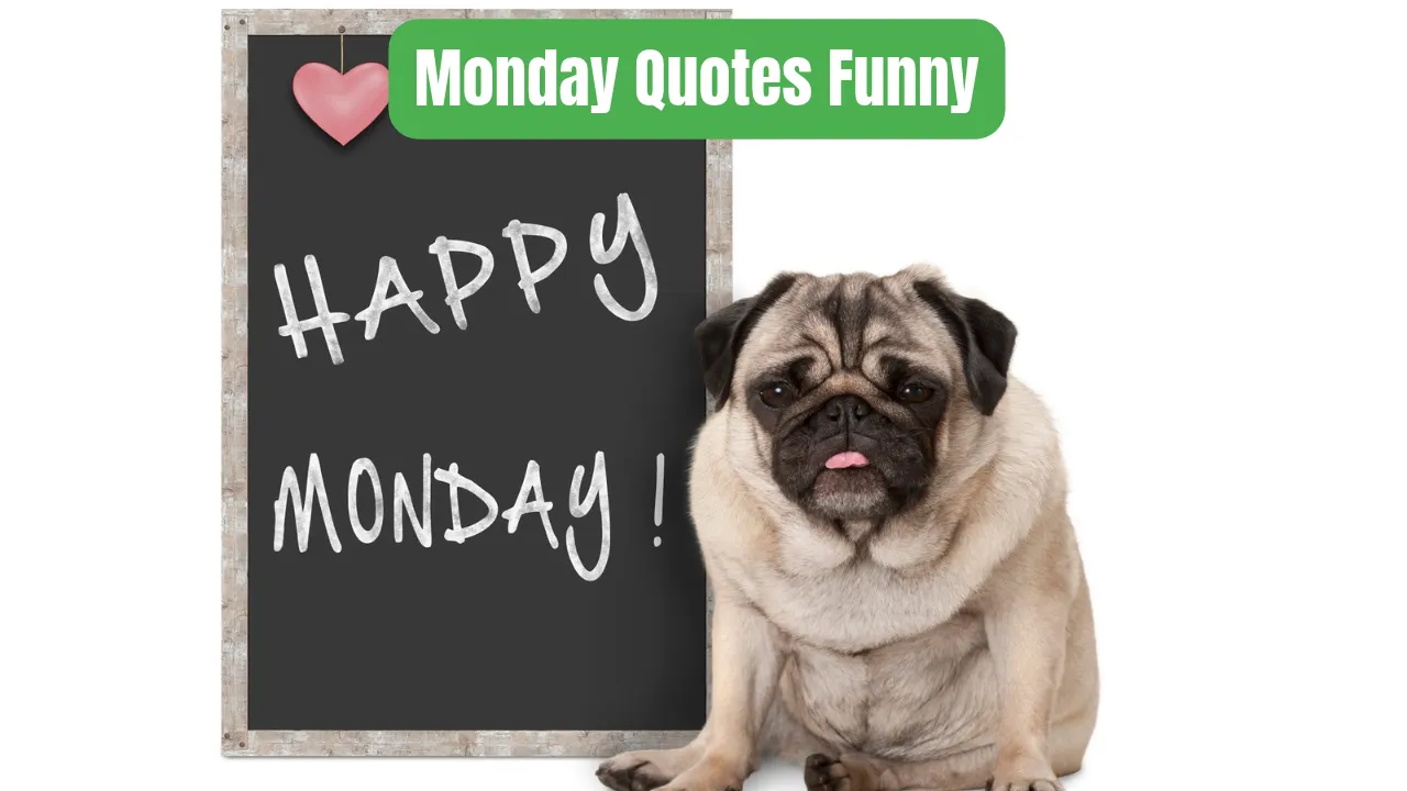 Monday Quotes Funny